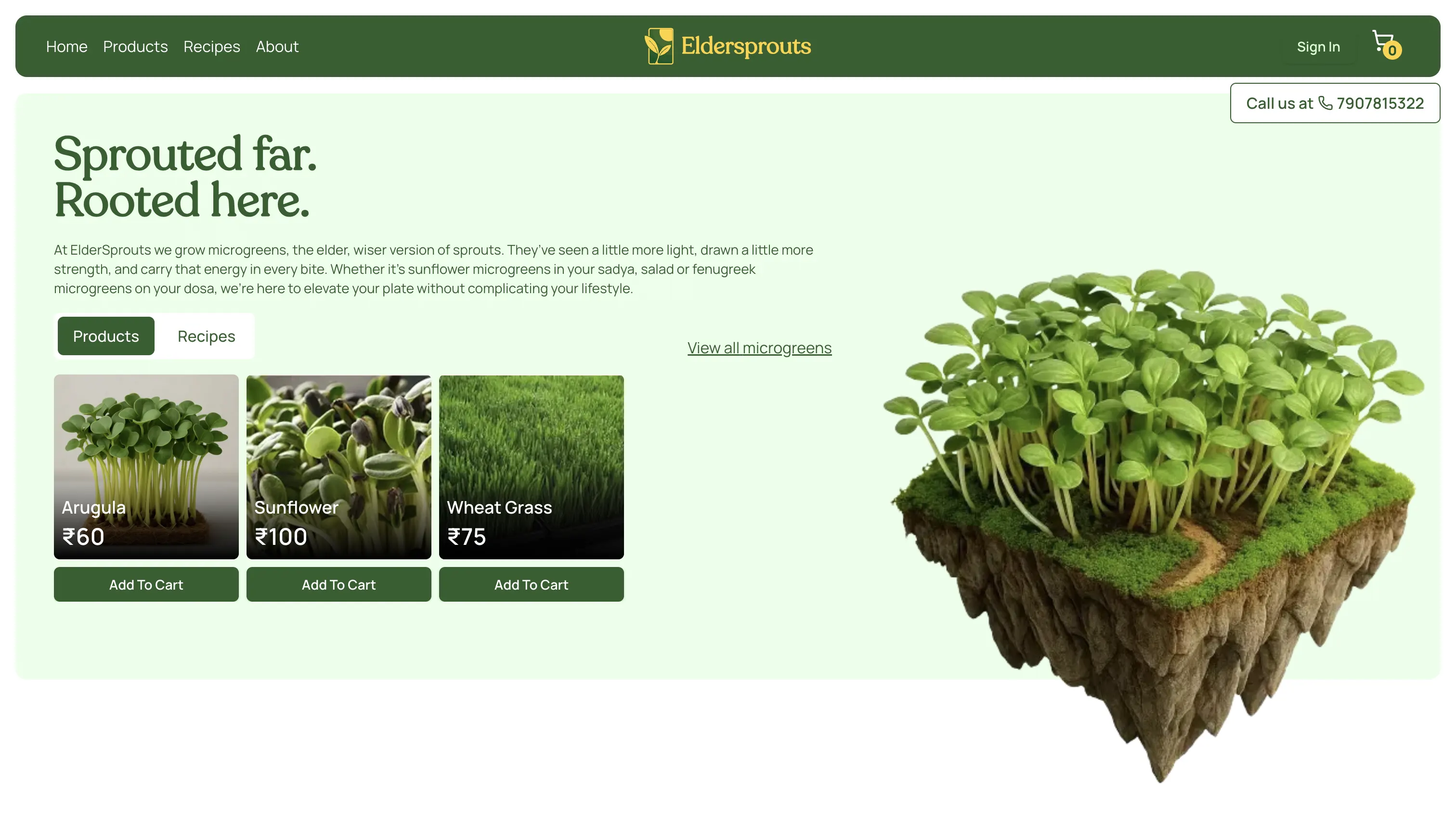 Eldersprouts mobile preview